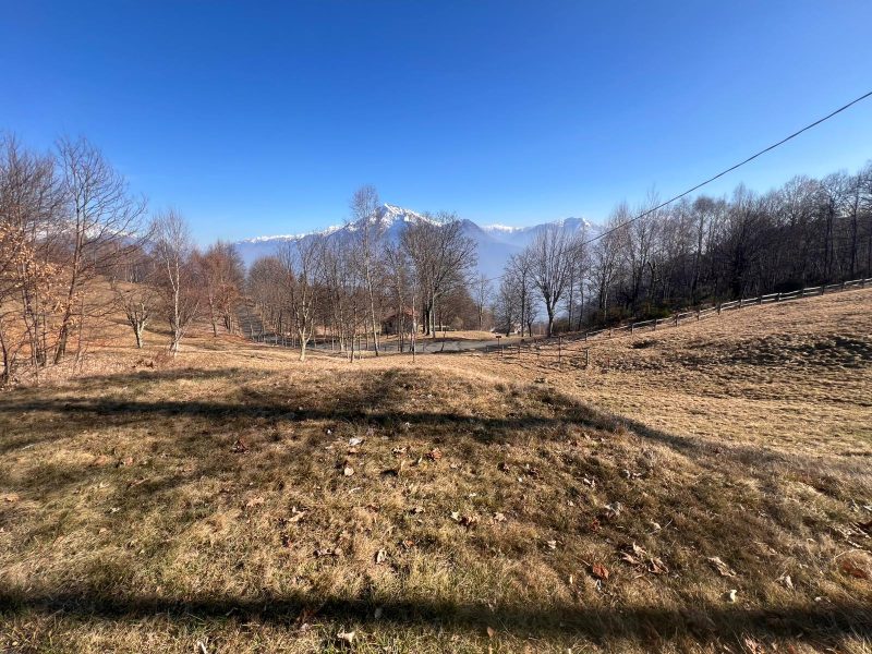 WhatsApp Image 2026-02-26 at 14.55.20