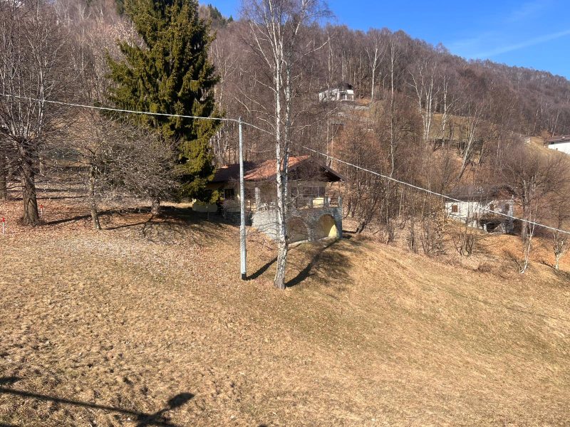 WhatsApp Image 2026-02-26 at 14.55.22 (1)