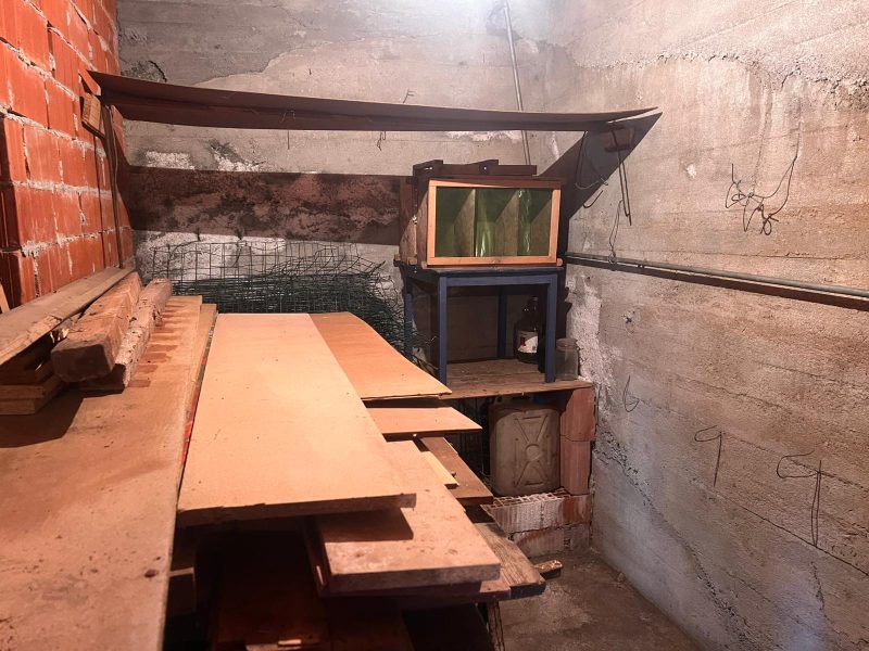 WhatsApp Image 2026-02-26 at 14.55.29