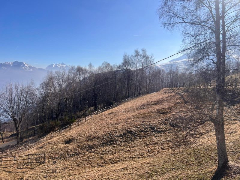 WhatsApp Image 2026-02-26 at 14.55.30