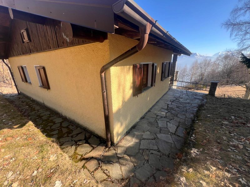 WhatsApp Image 2026-02-26 at 14.55.33