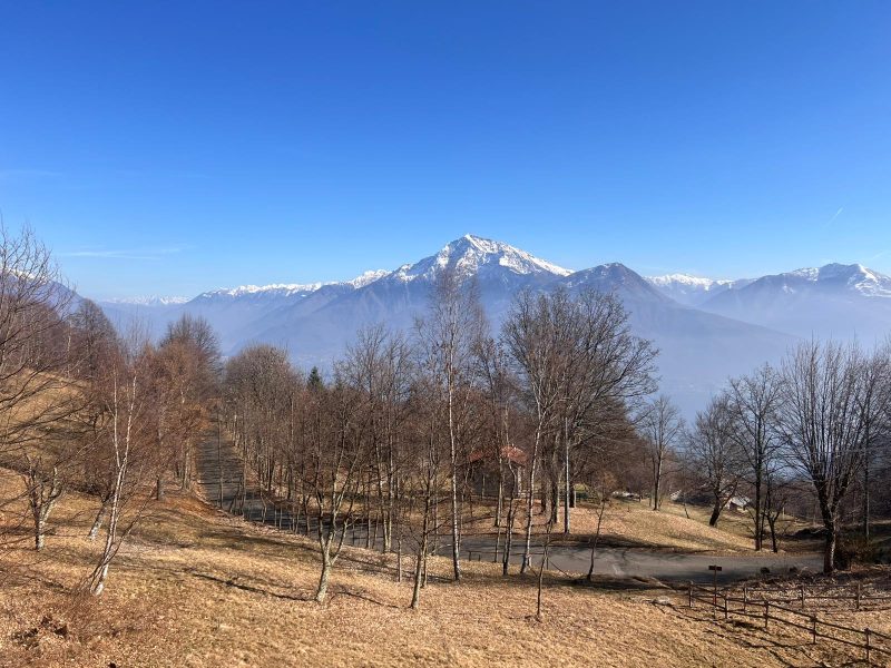 WhatsApp Image 2026-02-26 at 14.55.36