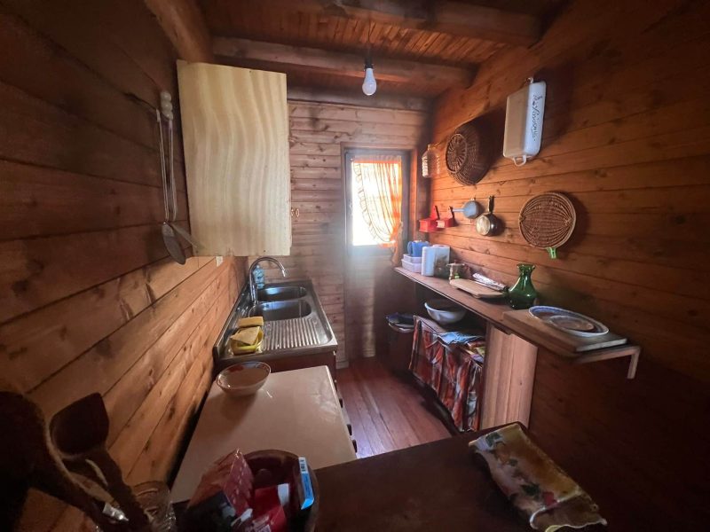 WhatsApp Image 2026-02-26 at 14.55.41 (1)