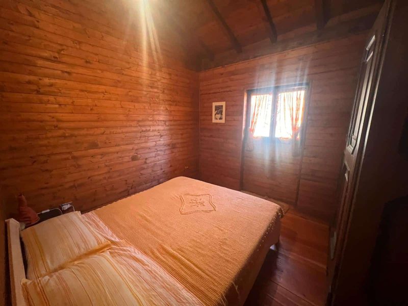 WhatsApp Image 2026-02-26 at 14.55.45